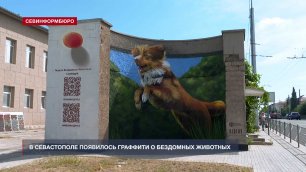 В Севастополе появилось граффити, призывающее к помощи бездомным животным