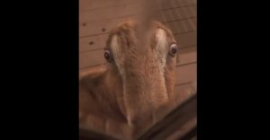 Смешные приколы Февраль 2023 #87