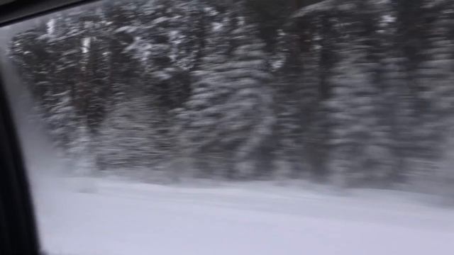 Лыжная прогулка в темном лесу...