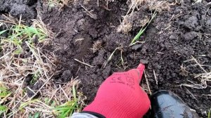 Большая медная монета. Поиск монет с TX850