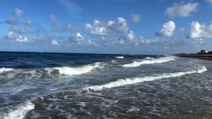 IS SARGASSUM SEAWEED DESTROYING SOUTH FLORIDA BEACHES? IT SURE MAKE FISHING DIFFICULT!