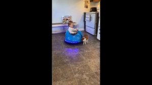 НЕОБЫЧНЫЕ ПРИКОЛЫ И МЕМЫ - #12