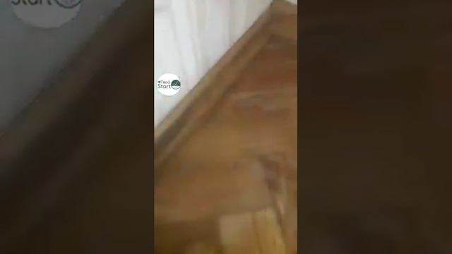 ЯК ПОЗБУТИСЯ ПЛІСНЯВИ. ДОПОМОЖЕ ФАДА АНТИПЛІСНЯВА ВІД КОМПАНІЇ ЛКЛАБ . ВІДГУК смотреть онлайн