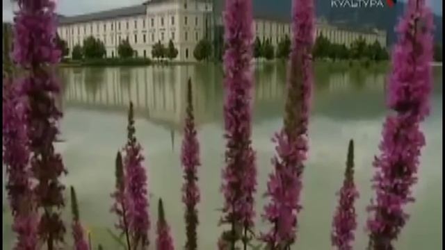 Сморчки строчки польза и вред этих грибов смотреть онлайн