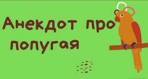 Анекдот про попугая