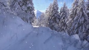 " К единственному , нежному" Анастасия Шведова