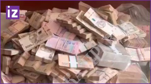 У бывшего замминистра обороны Украины нашли в диване почти миллион долларов / Известия