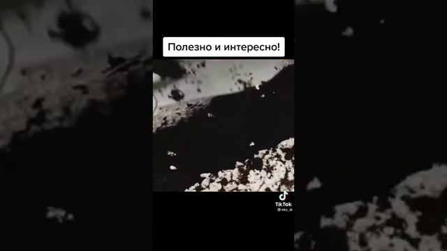 Полезно и интересно!#саддачаогород#лайфхаки для сада#бери и делай легко и просто