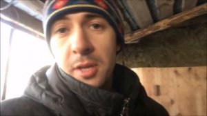 Бесплатная и эффективная добавка в корм свиньям,поросятам)