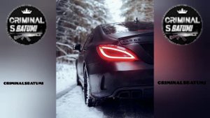 Adam - Zhurek | Alex Mako & Dani Grigu Remix - ( VIDEO 2024 ) assetto corsa 🔥