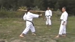 Разбор техники удара ГИАКУ ЦУКИ | Основной удар в традиционном карате-до