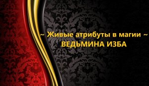 ЖИВЫЕ АТРИБУТЫ В МАГИИ...АВТОР: ИНГА ХОСРОЕВА