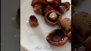 Дегустация паутинника триумфального