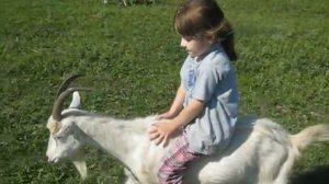 Девочка на козе