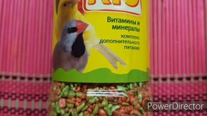 РЕЦЕПТ ЛАКОМСТВА - ФУРАЖИЛКИ  ДЛЯ ПОПУГАЕВ ИЗ ШИШЕК / Recipe of sweets for parrots from cones