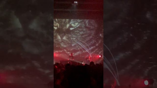 4 Позиции Бруно - Охотник (mutabor live) смотреть онлайн