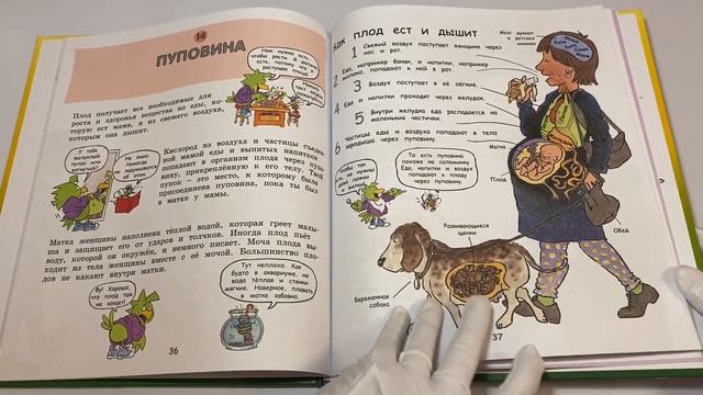 Давай поговорим про ЭТО: о девочках, мальчиках, младенцах, семьях и теле смотреть онлайн