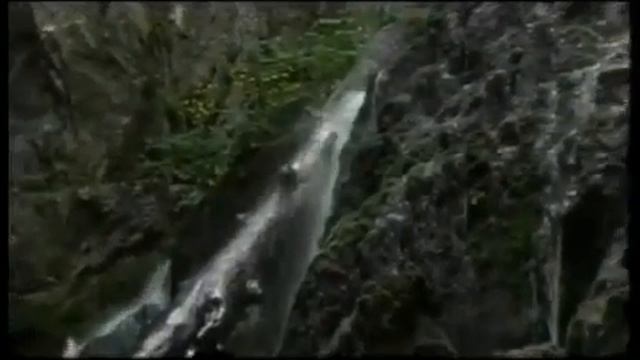 Уникальная система очистки воды "Aqueena" от ZEPTER