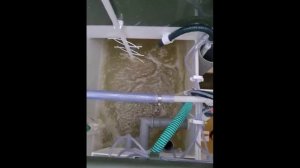Смонтированный септик ТОПАС-8