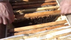 Вывод маток Часть №1, Делаем стартер