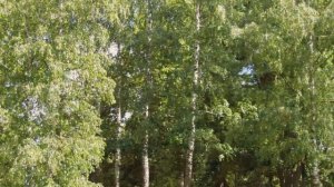 Красивая природа...Просто для души