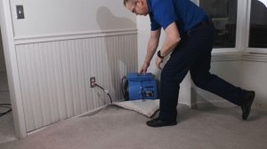 Dri-Eaz Sahara Pro X4 Air Mover for Drying After Cleaning and Floods