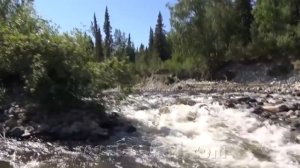 Сплав по реке, ловля хариуса и других рыб на Аляске
