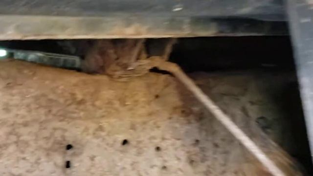 Ford F250 SUPER DUTY VS Toyota 4 runner plow. смотреть онлайн