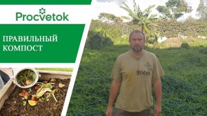 Компост. Для чего нужно компостирование и как правильно приготовить компост.