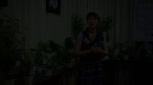 "Пеларгонии с душистой листвой. Что это?"  Часть 2