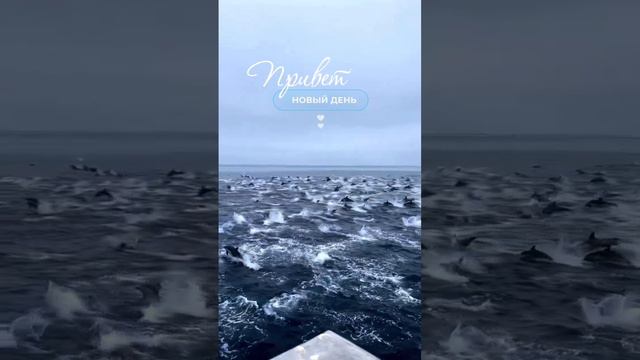 VID_20240904_102630_958.mp4