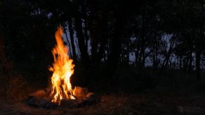 4K Campfire by the Sea - Crickets & Ocean Waves - Night Forest Nature Sounds - Relaxing Fireplace