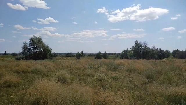 Поиск старого урочища. Монета на полевом стане. смотреть онлайн