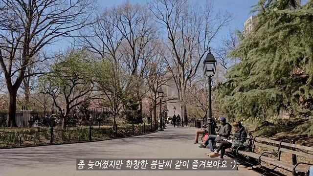 뉴욕일상 / 모닝루틴, 프랑스남편이 한국말듣고 식겁한 이유, 한국+,프랑스+미국 이유식, 뉴욕이 사랑스러운 순간, 브런치, 집밥, 국제가족, 육아, 브이로그