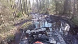 Покатушки на квадроцикле, по болотам )