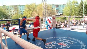 Открытый чемпионат Бийска по боксу состоялся на Петровском бульваре (18.05.22г.,Бийское телевидение)