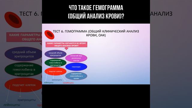Что такое гемограмма (общий анализ крови)? смотреть онлайн