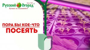 Вы готовы к новому дачно-огородному сезону #2023 года??? #Январь - #время #сеять ЭТИ #растения