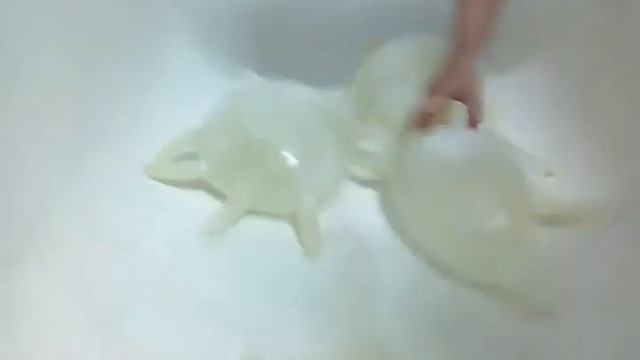 капитошки смотреть онлайн