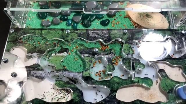 Ролик 9 смотреть онлайн