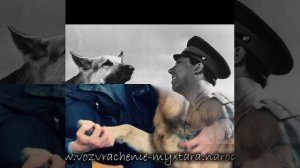 С Днём, Кинолога!