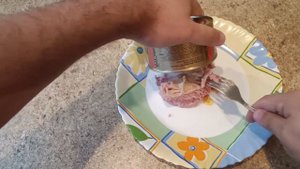 ЕЛИНСКИЙ ВЕТЧИНА КЛАССИЧЕСКАЯ ЭКСТРА ОБЗОР КОНСЕРВЫ МЯСНЫЕ ВЕТЧИННЫЕ