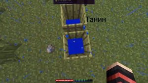 Гайд по моду TerraFirmaCraft  | Хранение вещей