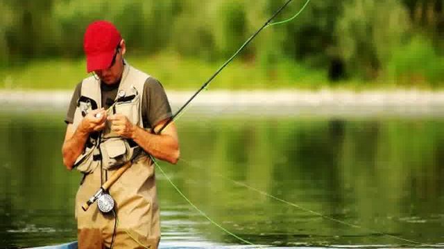 активатор клева fishhungry голодная рыба отзывы смотреть онлайн