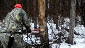 Таёжный топор