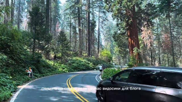 National Park Sequoia. Первая поездка в национальной парк Секвойя.
