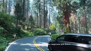 National Park Sequoia. Первая поездка в национальной парк Секвойя.
