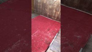 Бассейн из поддонов.ШОК что стало через год с бассейном!!!DIY