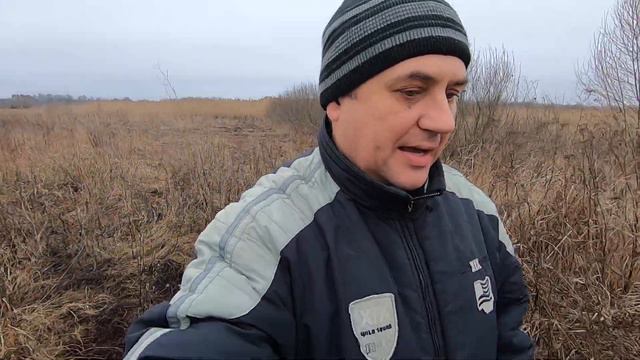 ПЧЕЛОВОДСТВО В ФЕВРАЛЕ/НУЖНЫ ЛИ ДОТАЦИИ/СОСТОЯНИЕ ЗИМУЮЩИХ ПЧЁЛ/ МОЙ ПРОГНОЗ ВЕСНЫ ПО ВЕРБЕ И БАЙБА смотреть онлайн