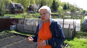 Голова садовая - Зачем осенью сажать лук